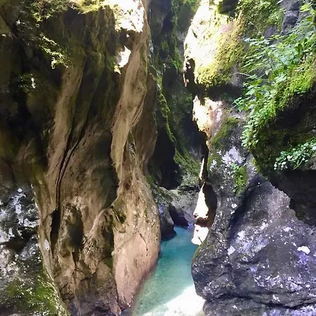 Encijan Log pod Mangartom
