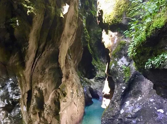 Encijan Log pod Mangartom