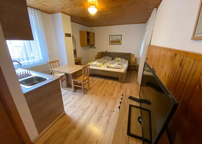 Encijan Lejlighed Log pod Mangartom